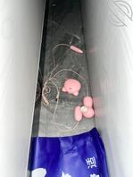 表妹越长越成熟漂亮    大神帮我支支招0