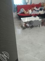 发现嫂嫂一个人在家看小电影自慰1