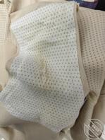 情人的原味内裤0