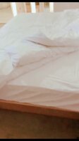 标题是什么不重要。（已成年）