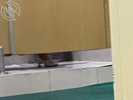 真实厕拍，新手差点被抓，可以意淫用1