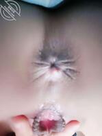 小奴找玩伴 先网后现1