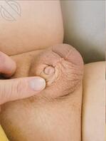 小鸡巴，有人喜欢吗0