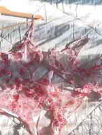 又是跟弟媳妇炮火连天的日子0