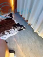 东北人妻 认出可操