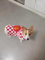 【原创】猎熟姨妈的历程2 蜗行牛步，进展缓慢1