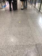 一晚上一个没抄到1