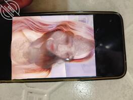 射屏，大家来评论2