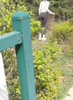 想拿下小姨子71