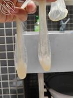 (真实)44:忍不住,隔空对着干妈射了两次(抽幸运儿送砖石)1