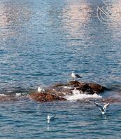 诚心寻缘，祈愿福泽，拜寻干妈1