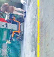 眼镜妹就是骚  包臀裙屁股都露出来  2