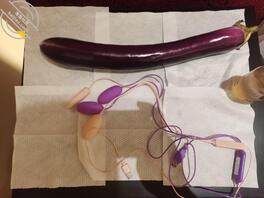 长茄子插骚逼！