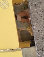 厕拍收藏极品小姐姐2