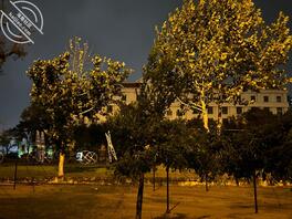 最近准备攻略妈妈0