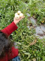 143【海角乱伦】各位海友，等着看嫂子偷情的证据吧1