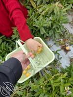 143【海角乱伦】各位海友，等着看嫂子偷情的证据吧2