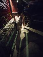 只是露出，不粗口，不约炮1