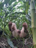 野外漏出  欢迎评价1