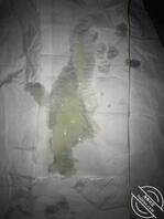 佛山三水年轻单男1