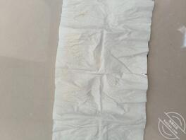 熟人骚货们的原味2