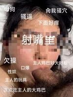 请继续羞辱评价母狗的贱逼骚逼，母狗就是个欠操的贱婊子