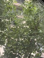 踩点，准备扫楼2