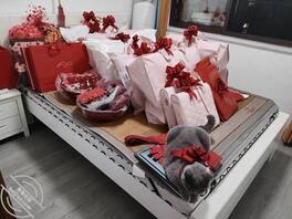 大表姐!美人胚难得尤物1