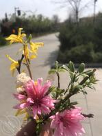 求，真实有效，陪读妈妈分享故事，必须真实有效，50钻石相送2