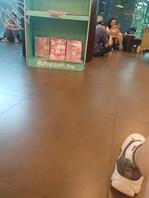 今天周末又去书店转了半天，大家看看怎么样