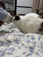 沧州有没有可以舒服舒服的地方0