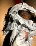 隔壁美女的内裤0