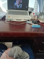 办公室打胶，看着骚逼的照片，母女祖孙三代的，小吊带1