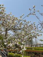 第一次浅浅尝试一下露出1