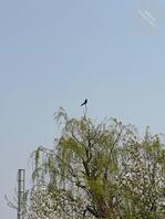 第一次浅浅尝试一下露出2