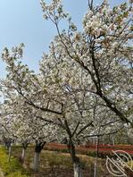 第一次浅浅尝试一下露出