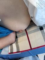 每天都有摸奶任务1