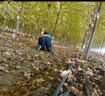 评论区留下野爹的大鸡扒 随机奖励操骚妈0