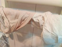 评论区留下野爹的大鸡扒 随机奖励操骚妈1