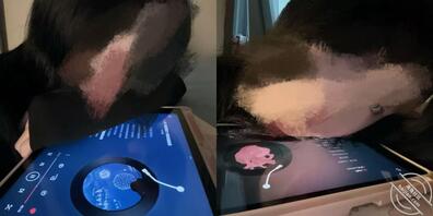 2、妹妹终于来了，同居生活开始了1