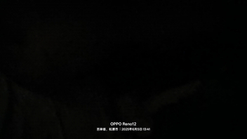 大鸡吧操熟女骚逼