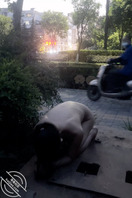 阳江有没有户外露出小姐姐0