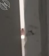 厕所偷拍00年女生