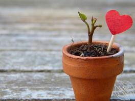 6.发现母子乱伦,你可以相信人性的力量,她们会自己停止2