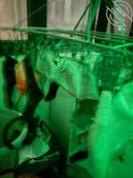 扫楼碰到的好货，贼香