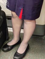 丰腴空姐的紫丝红内