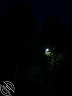 楼下诊所的魅力少妇2