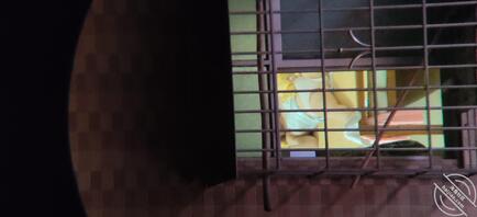 偷拍对面出租屋少妇 后续有视频