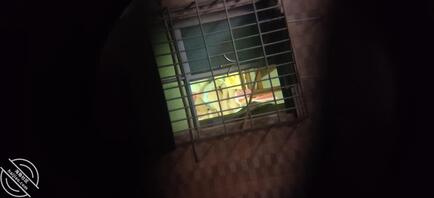 偷拍对面出租屋少妇 后续有视频1