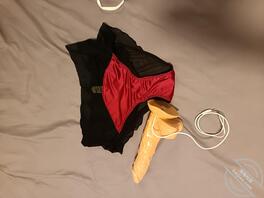 丈母娘去旅游了，在她的衣柜找了很多性感内裤，和情趣玩具。50多岁真风骚。1